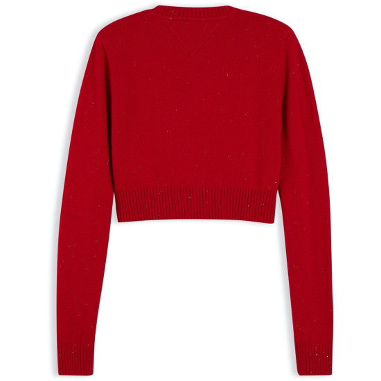 TOMMY JEANS SPARKLE FLAG SWEATER EXT DW0DW21690 XMD