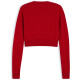 TOMMY JEANS SPARKLE FLAG SWEATER EXT DW0DW21690 XMD