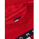 TOMMY JEANS SPARKLE FLAG SWEATER EXT DW0DW21690 XMD