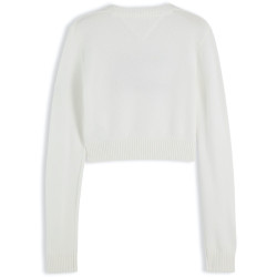 TOMMY JEANS SPARKLE FLAG SWEATER EXT DW0DW21690 YBH