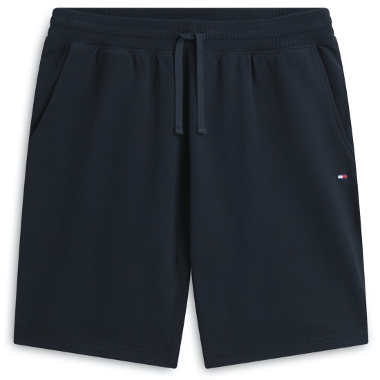TOMMY HILFIGER ESSENTIAL TERRY SWEATSHORT MW0MW37240 DW5-DESERT SKY 