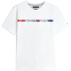 TOMMY HILFIGER BRAND LOVE STRIPE TEE MW0MW42368 YBR-WHITE 